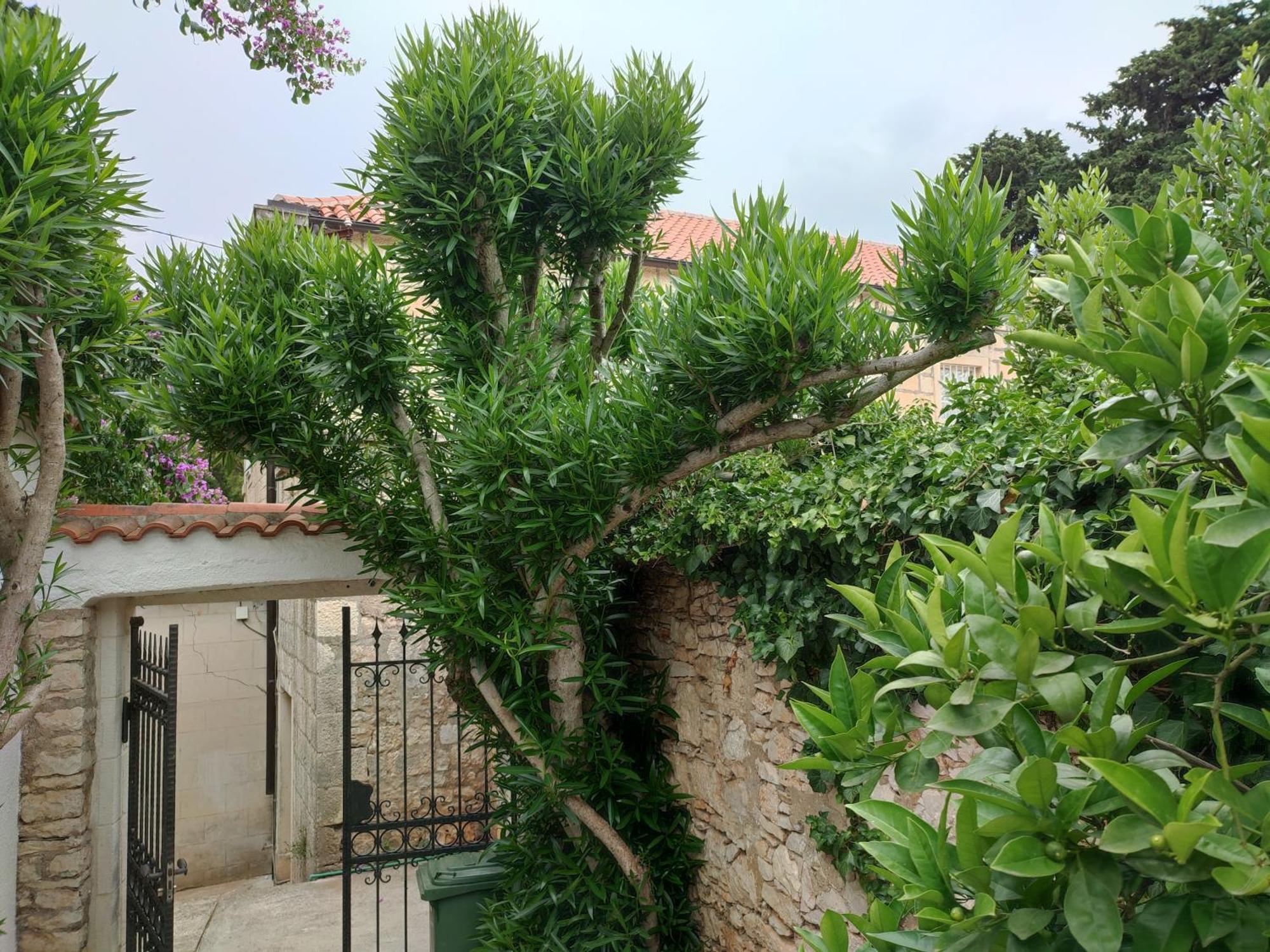 Villa Rustika Sutivan Εξωτερικό φωτογραφία